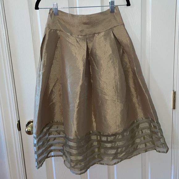Jasmine - Gold Pleated Skirt with Striped Sheer Panel at Hem - Size Small - Picture 4 of 9